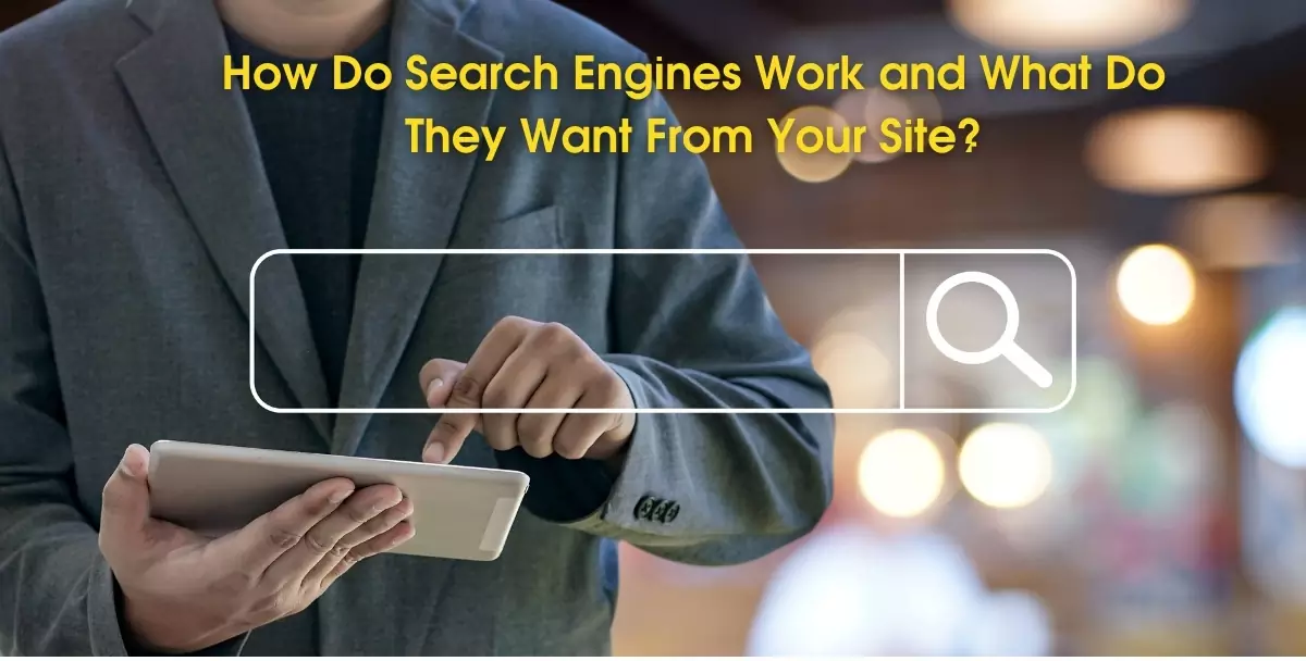 How Do Search Engines Work and What Do They Want From Your Site?