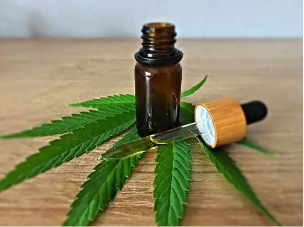 CBD Oil for Dogs – Benefits and Side Effects
